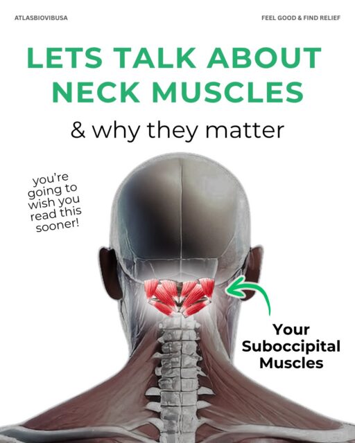Ever wonder why your stiff neck keeps coming back?
It’s usually caused by tiny muscles called your suboccipital muscles, sitting right at the base of your skull.
When they get tight, they trigger neck tension, headaches, migraines, and even poor posture.
You might feel it when you’re scrolling, working at your desk, or just trying to sleep.
The AtlasBlOvib® is the only neck massager designed specifically to release those hard-to-reach muscles, relieve tension, and help you realign your neck naturally.
�✨Feel good again.
💆♂️Relieve stiffness.
🧠Improve alignment.
��📌Save this post if you deal with neck pain or headaches.
#atlasbiovibusa #neckpainrelief
#headacherelief #stiffneck #wellnesstools